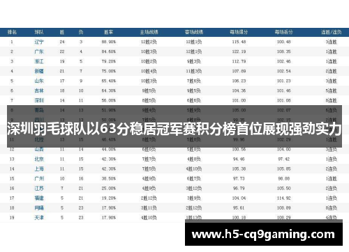 深圳羽毛球队以63分稳居冠军赛积分榜首位展现强劲实力